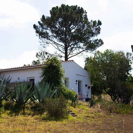 Monte Da Urze Aljezur - Agroturismo Exterior foto